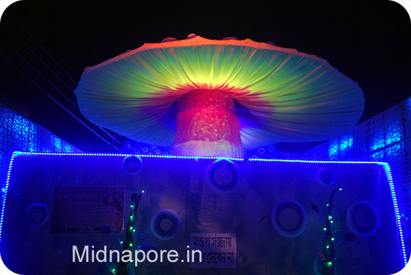  Kharagpur (Durgapuja 2014) 