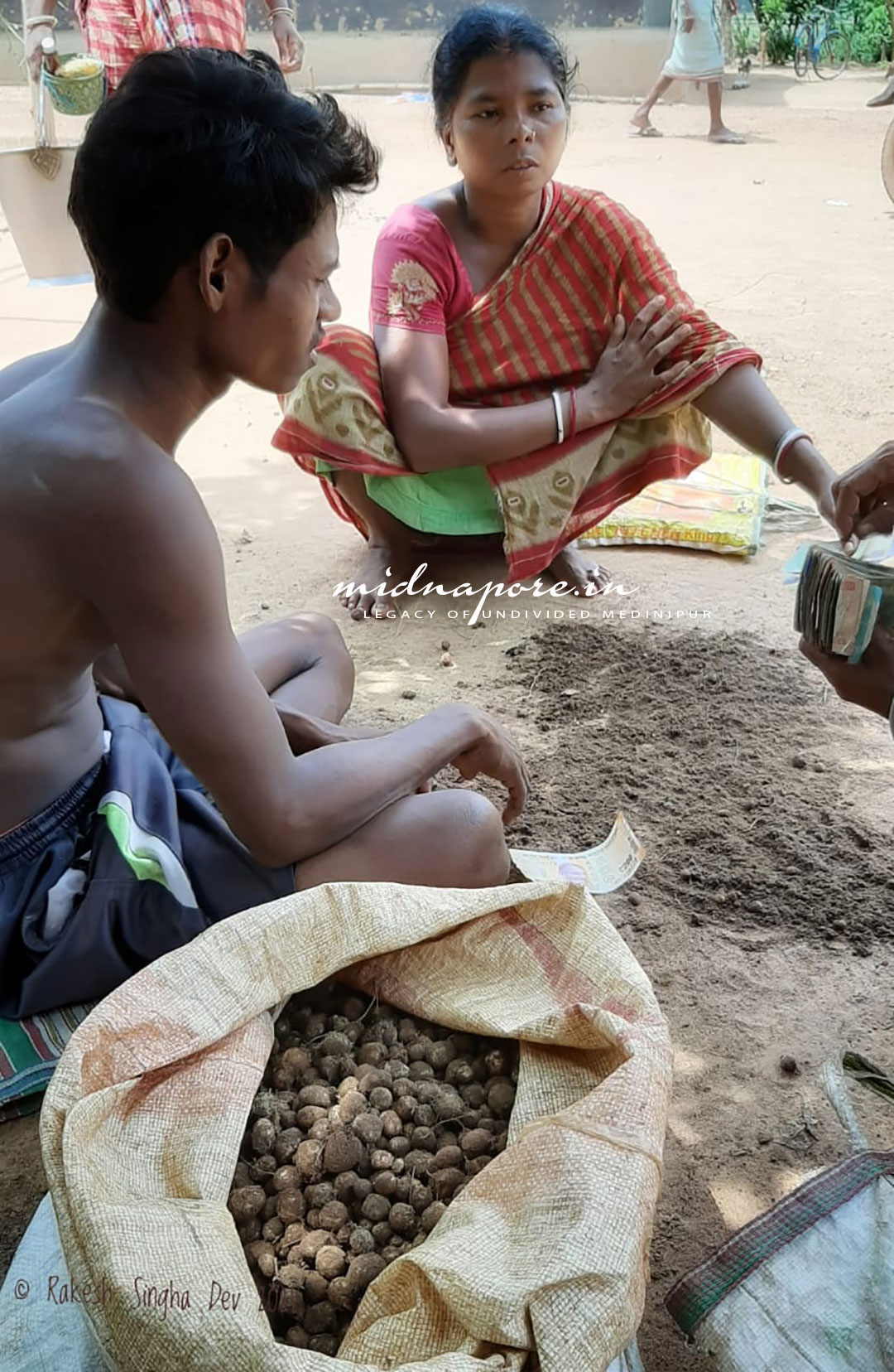 জঙ্গলমহলের কুড়কুড়া ছাতু (মার্বেল ছাতু / পুটকা ছাতু)  | <i>Astraeus hygrometricus (Pors.) Morg.</i> of Jangalmahal  | कूड़कूड़ा  चातू