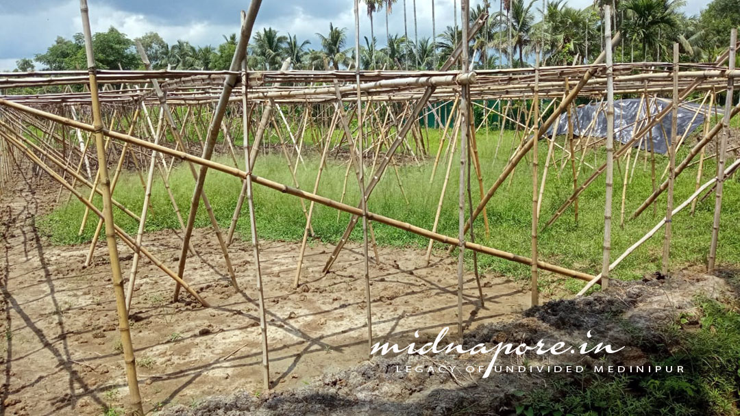 দক্ষিণ দামোদর পুর (নন্দকুমার, পূর্ব মেদিনীপুর) | Dakshin Damodarpur (Nandakumar, Purba Medinipur)