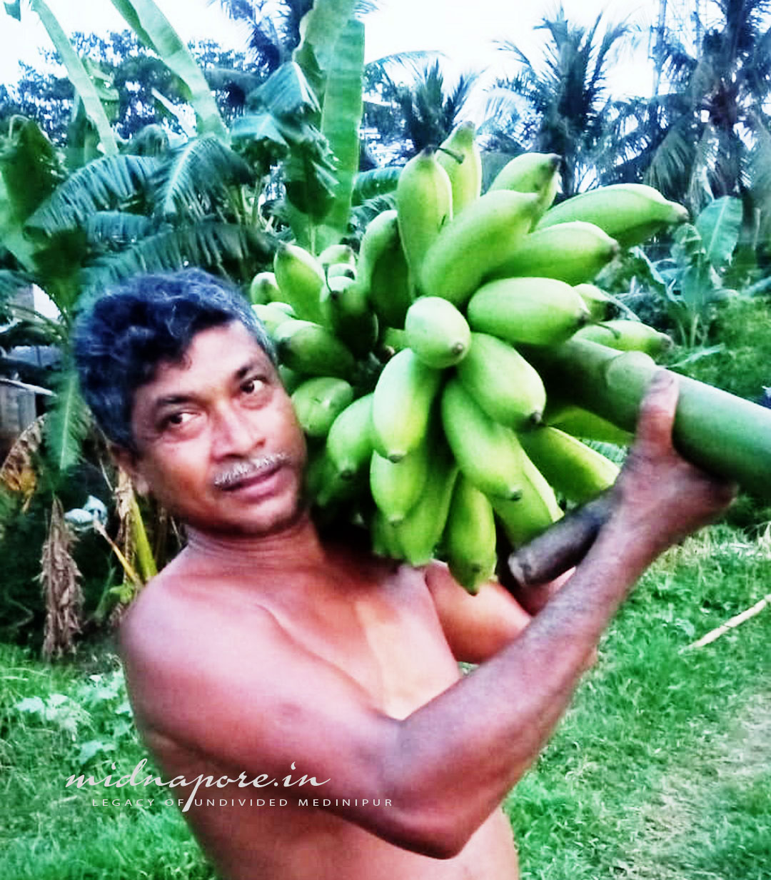 দক্ষিণ দামোদর পুর (নন্দকুমার, পূর্ব মেদিনীপুর) | Dakshin Damodarpur (Nandakumar, Purba Medinipur)