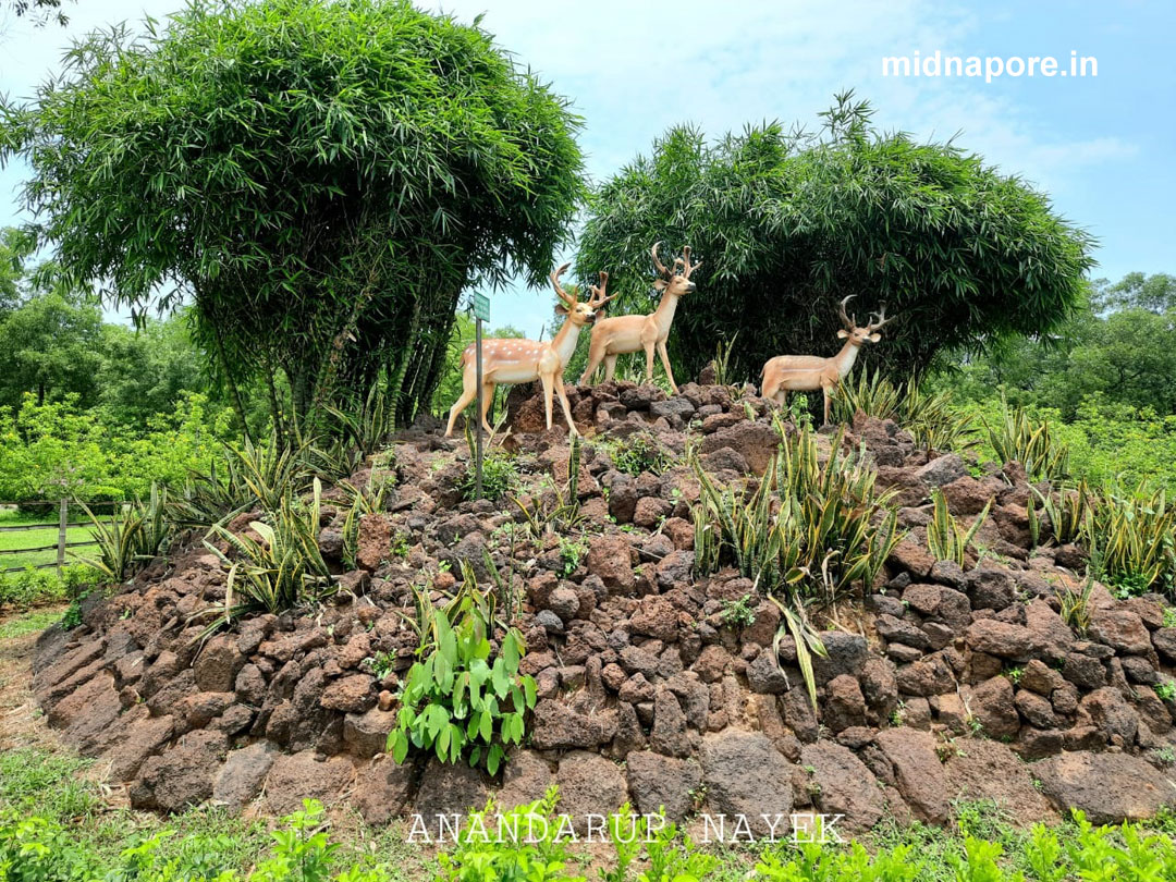 গোপগড় ইকো টুরিজম পার্ক | Gopegarh Eco Tourism Park