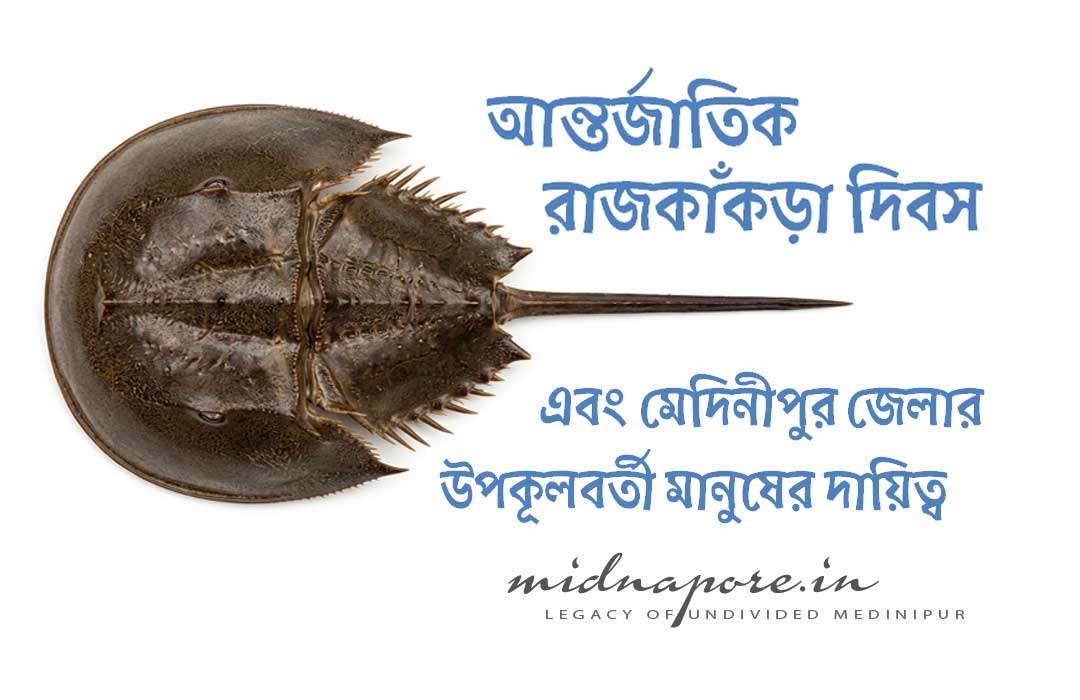 আন্তর্জাতিক, রাজকাঁকড়া দিবস, মেদিনীপুর, উপকূলবর্তী, International, Horseshoe Crab, Day, responsibilities, coastal, Midnapore