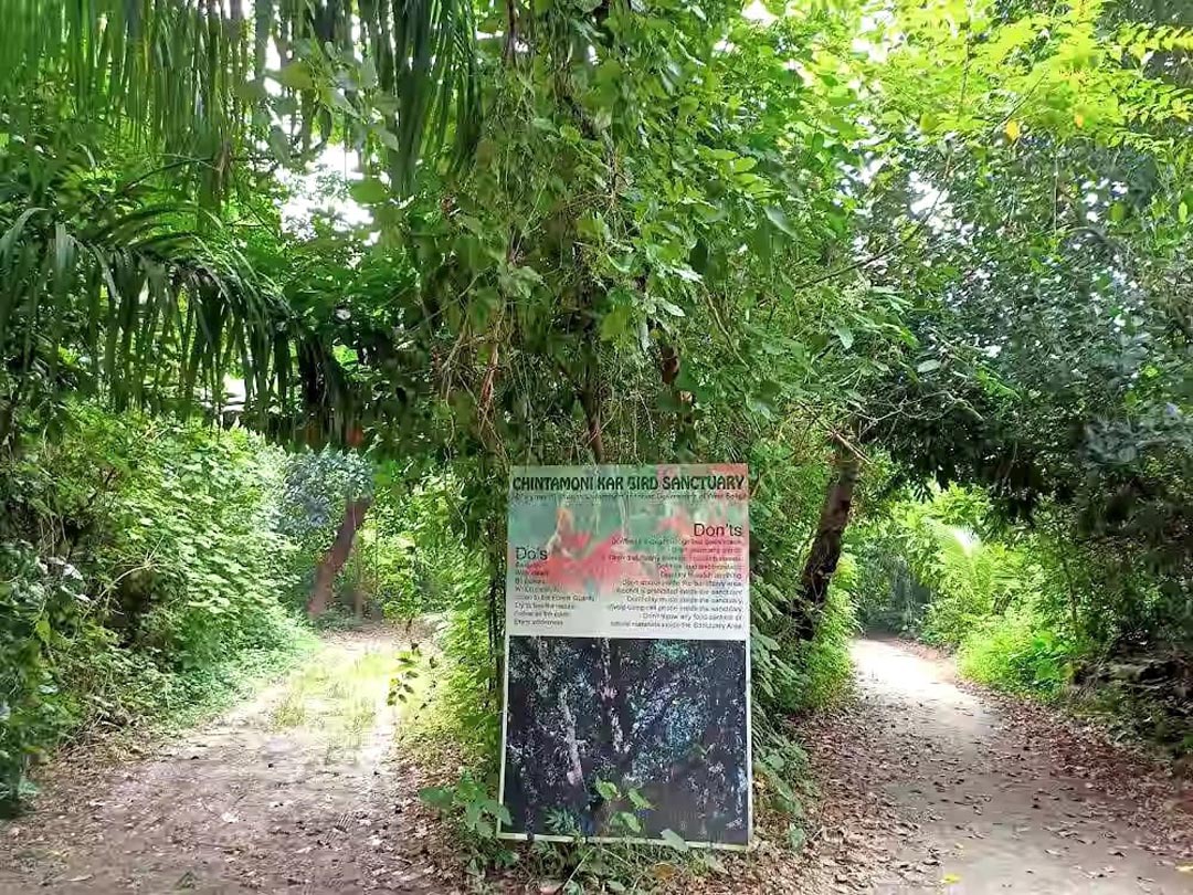 ভাস্কর, চিত্রশিল্পী, চিন্তামণি কর, খড়গপুর, Kharagpur, sculptor, painter, Chintamani Kar