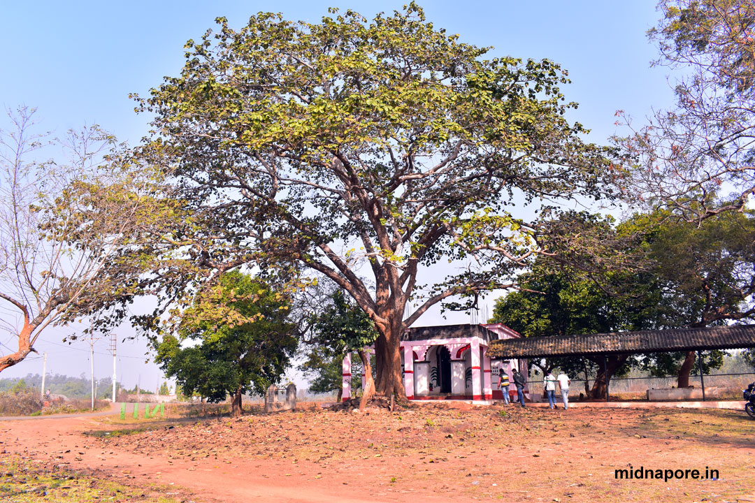 পাথরকাটি, মা, জয়চন্ডী, Ma, Jaychandi, Patharkati, Medinipur, Midnapore