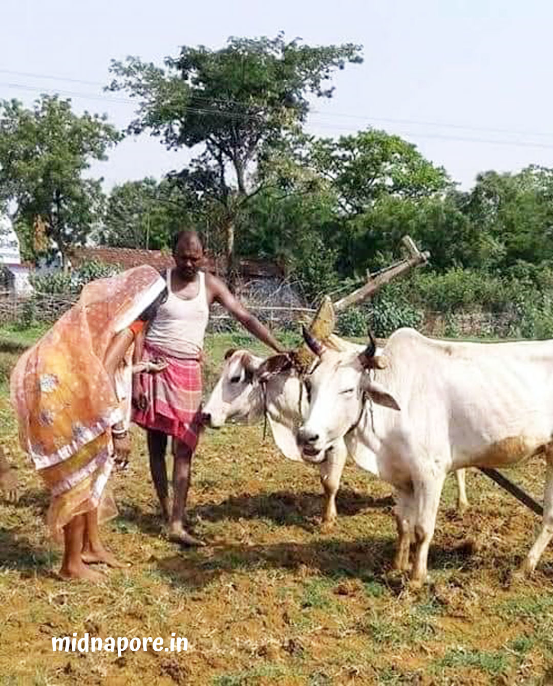 রহৈন কৃষি উৎসবে সূচনা | Rahain - Inauguration of the agricultural festival