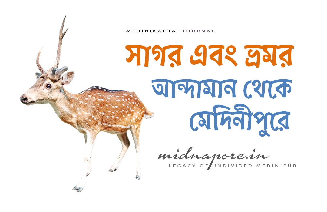 সাগর, ভ্রমর, আন্দামান, মেদিনীপুর, Bidisha, Narayangarh, Medinipur