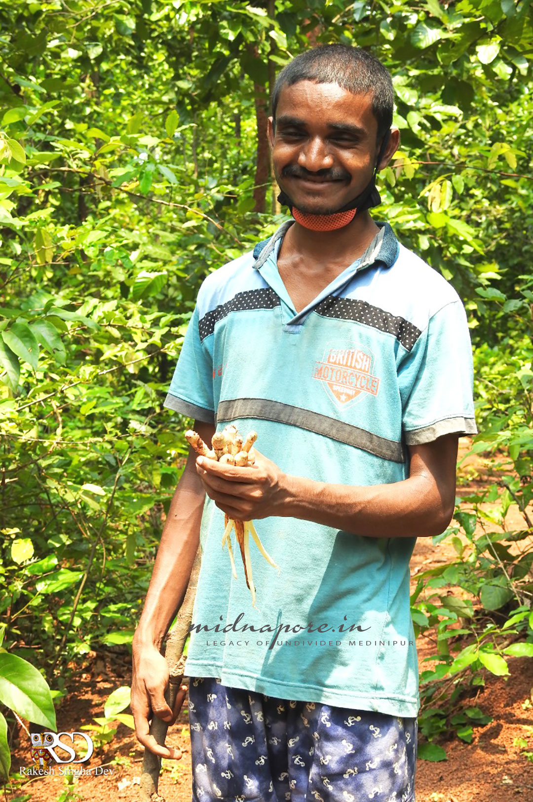 কাড়ান ছাতু, Termitomyces heimii, काड़ान चातू, Jangalmahal, Medinipur