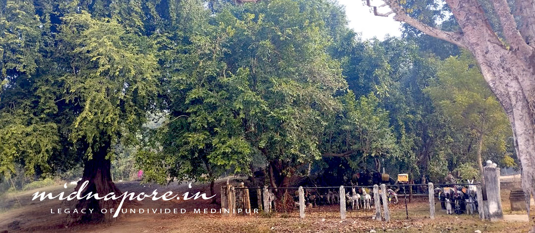 ঝাড়গ্রাম জেলার সাঁকরাইল ব্লকের এক উল্লেখযোগ্য লৌকিক দেবী 'সাতভউনির' কাহিনি | The story of Satbhouni a remarkable popular goddess of Sankrail block Jhargram district