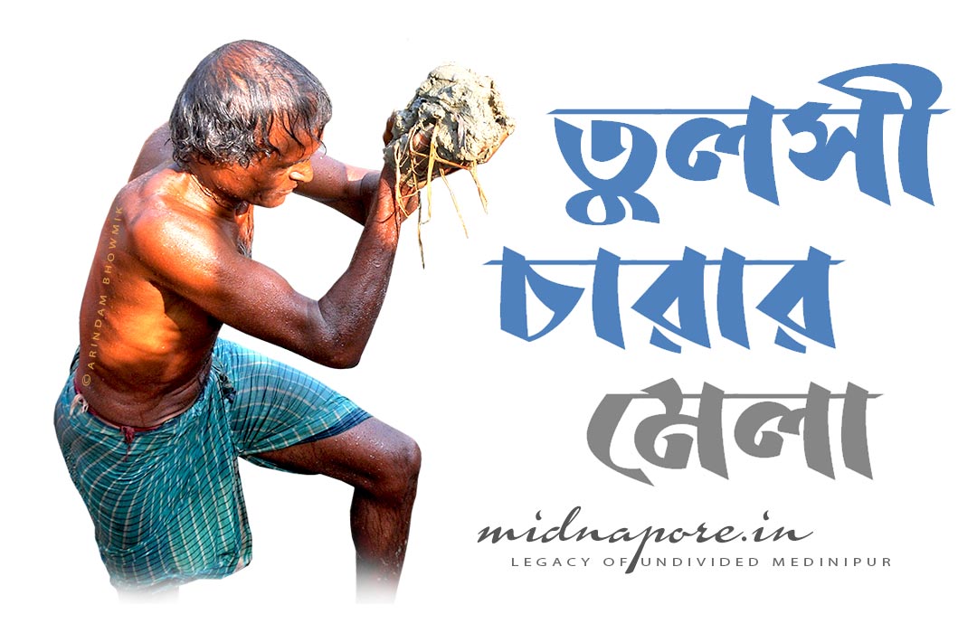 তুলসী চারার মেলা (পটাশপুর ও সবং)  | Holy Basil Sapling Fair | तुलसी पौधे का मेला