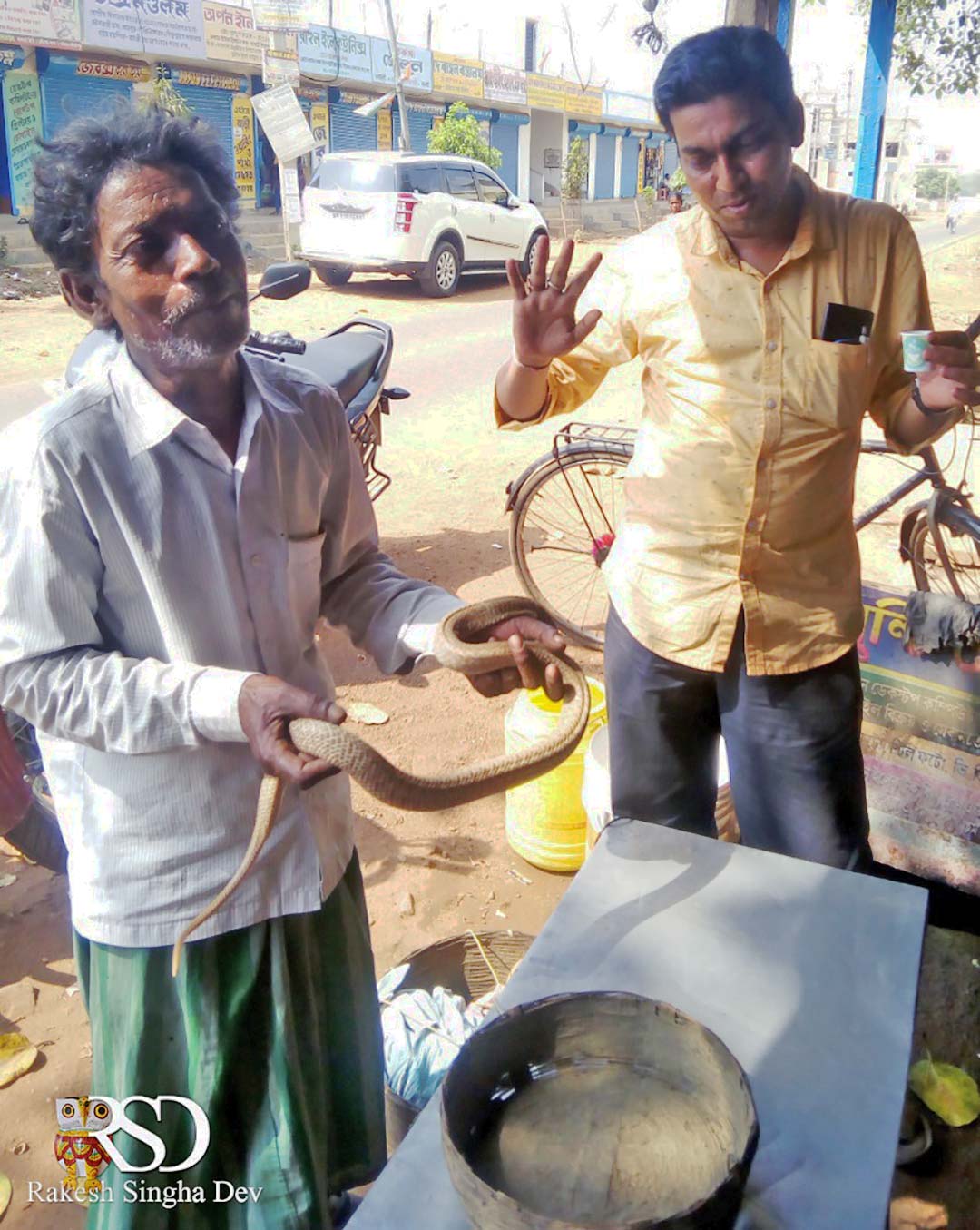 গোখরো গাথা | Indian Cobra