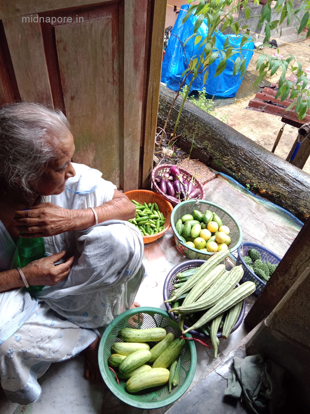 MEDINI ACHARYA 2024, Manju Maity, Sailendra Maity | মেদিনী আচার্য ২০২৪, মঞ্জু মাইতি, শৈলেন্দ্রনাথ মাইতি | मेदिनी आचार्य २०२४, मंजू माइति, सैलेन्द्रनाथ माइति