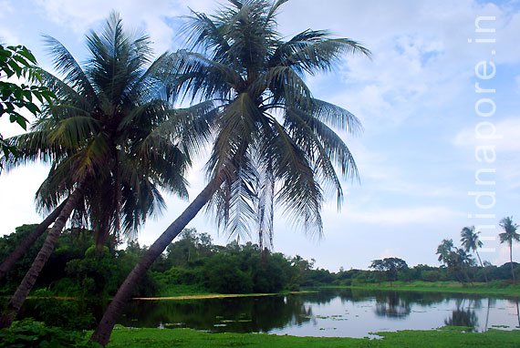 Moyna Garh, East Medinipur. Photo: Arindam Bhowmik