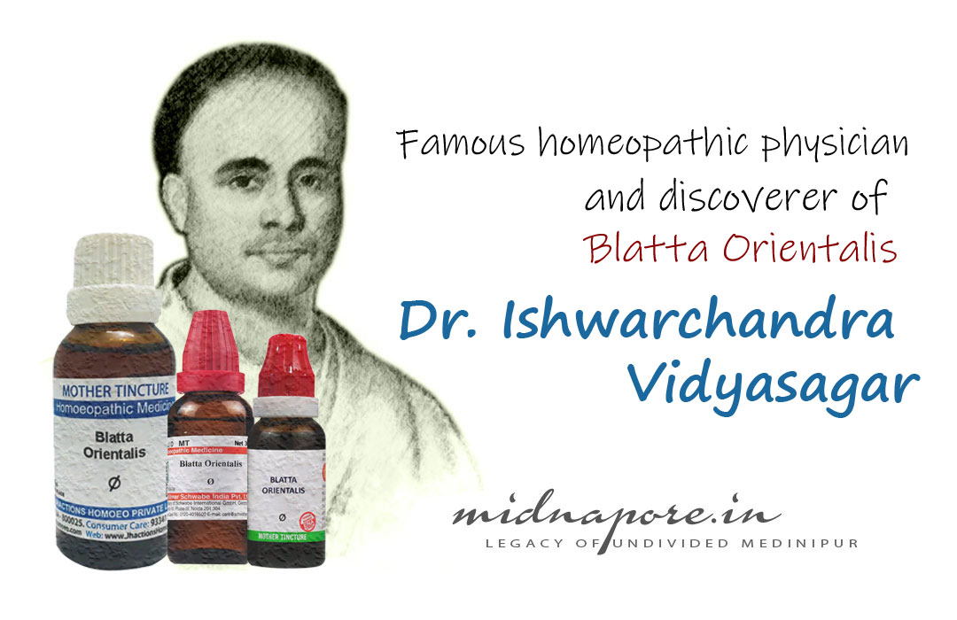 Ishwar Chandra Vidyasagar, ঈশ্বরচন্দ্র বিদ্যাসাগর, ᱠᱟᱞᱤᱠᱨᱤᱥᱱᱟ ᱢᱤᱛᱨᱚ, ईश्वर चन्द्र विद्यासागर,  ব্লাটা ওরিয়েন্টালিস, হোমিওপ্যাথি, চিকিৎসক, homeopathic, physician, Blatta Orientalis